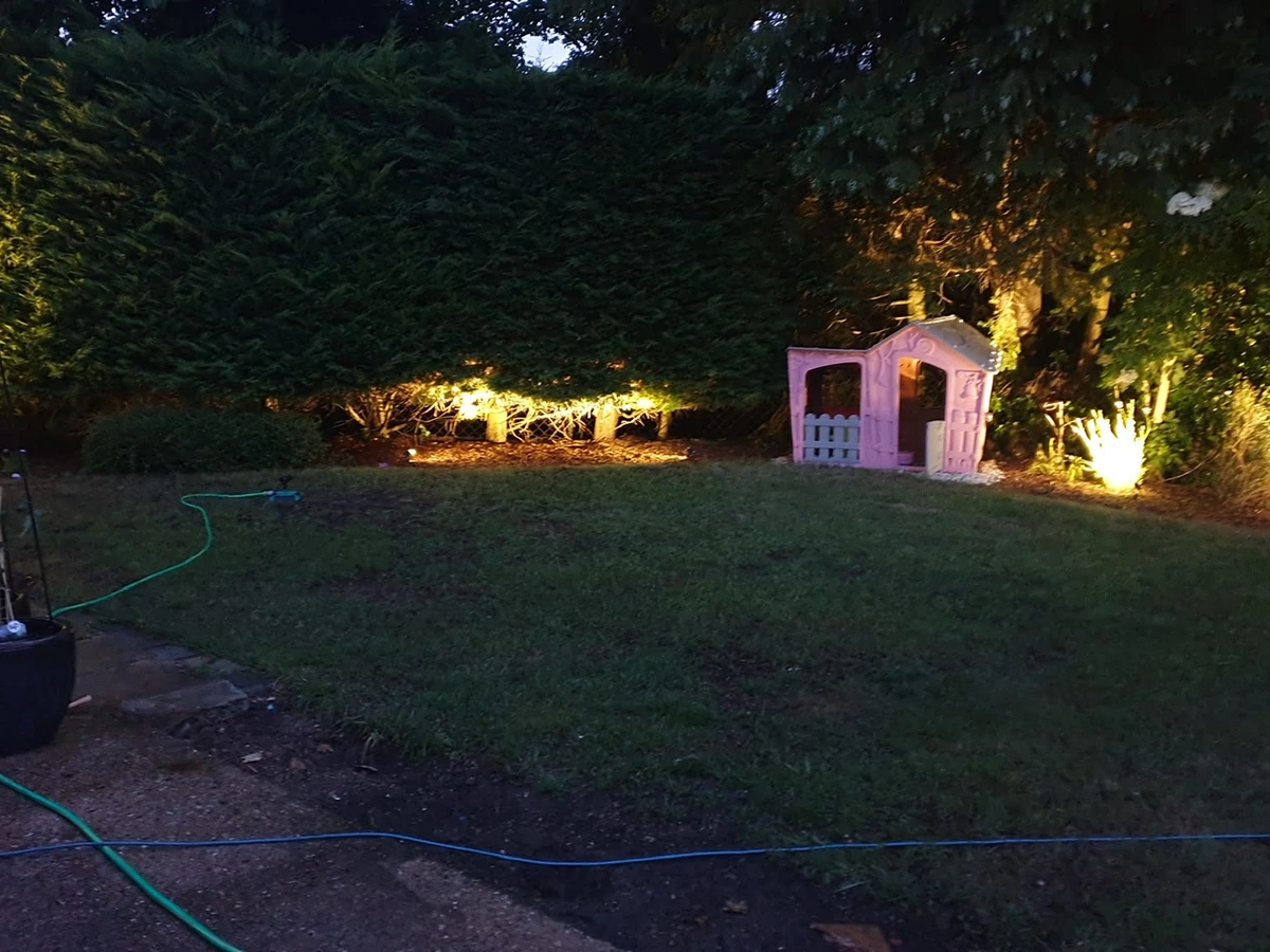 Garden spike lights picking out shrubs after dark
